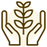 Salamanca Quality Tree Work